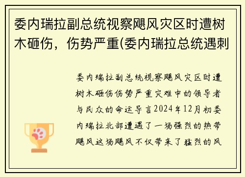 委内瑞拉副总统视察飓风灾区时遭树木砸伤，伤势严重(委内瑞拉总统遇刺)