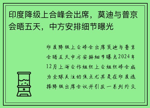 印度降级上合峰会出席，莫迪与普京会晤五天，中方安排细节曝光